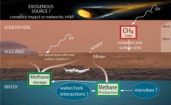 Potential Sources and Sinks of Methane on Mars
