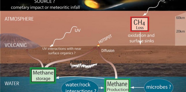 Potential Sources and Sinks of Methane on Mars